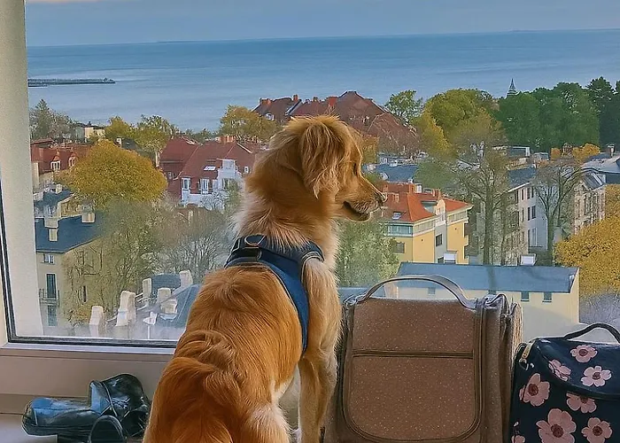 Pokoje Przy Plazy Z Widokiem Na Morze